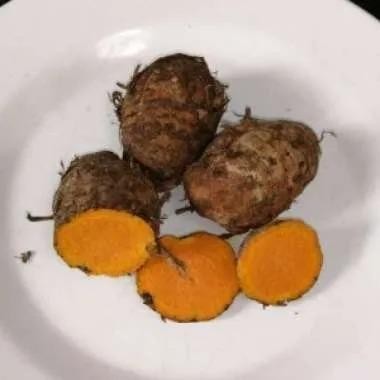 

Terlaris Promo!! Biang Kunyit/Induk Kunyit Segar 1Kg