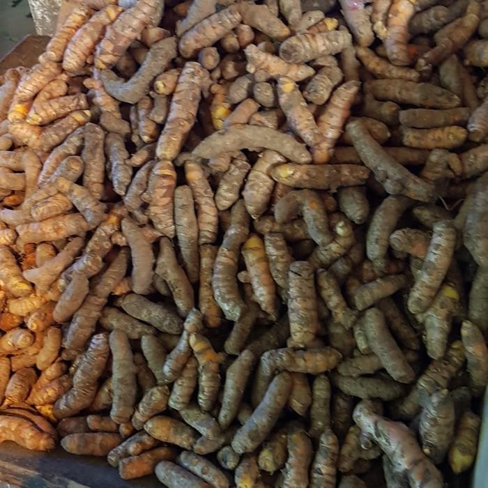 

Terlaris Kunyit Murah 500 Gram