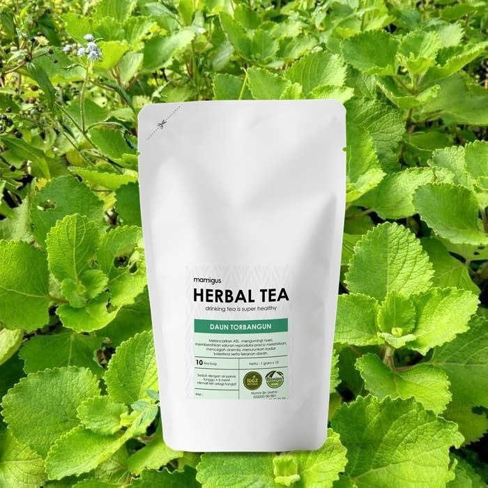 

TERMURAH!! TEH CELUP TORBANGUN / Teh Torbangun Pelancar ASI / Torbangun Leaf Tea / Teh Herbal Alami