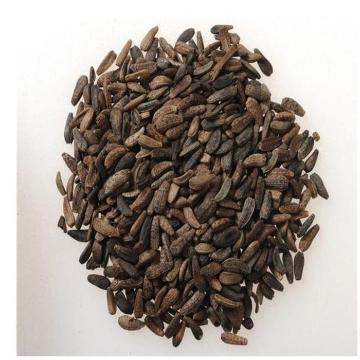 

TERLARIS NIU BANG ZI NIU PANG ZI 600 GRAM NIUBANGZI NIUBANG ZI READY