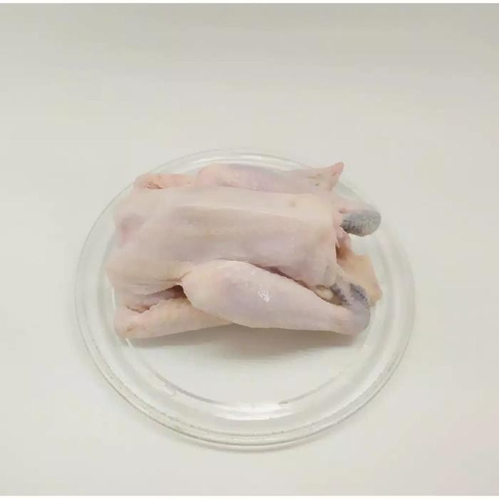 

AYAM KAMPUNG FRESH UKURAN 0.7-0.8 KG POTONG DADAKAN New