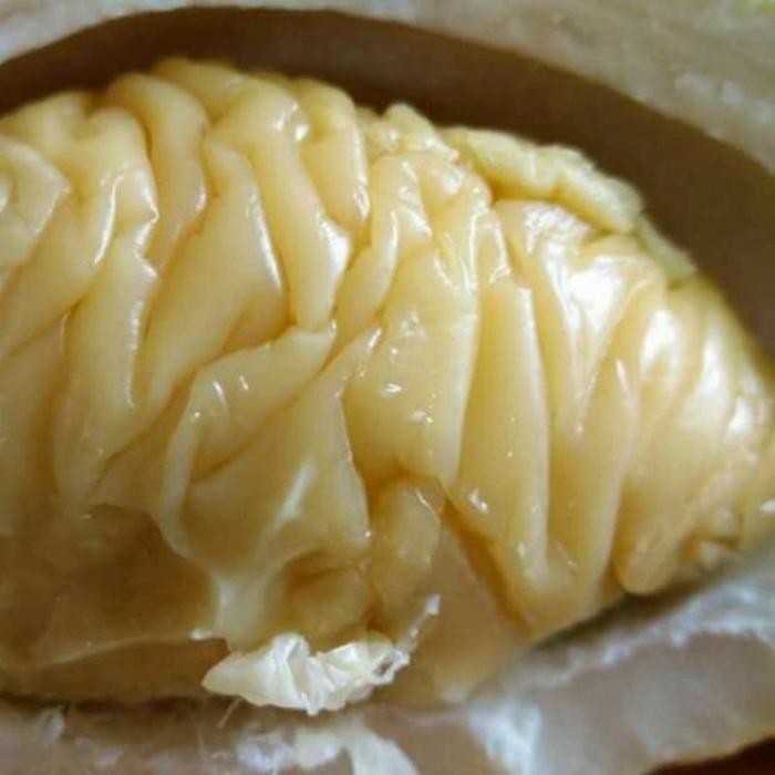 

bibit tanaman durian siotak langka/benih tanaman durian siotak langkaa