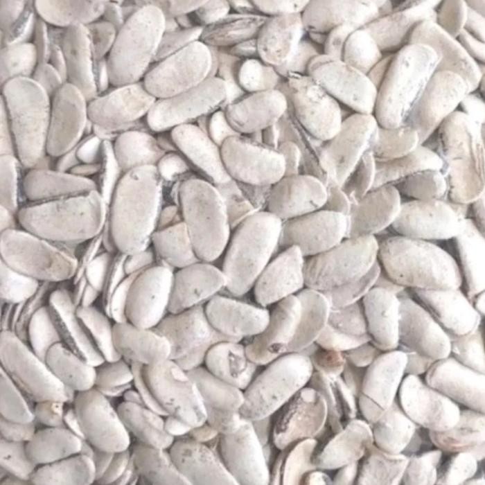 

TERMURAHH!! Biji Mahoni Kupas 500 gram - Biji Buah Mahoni Kupas