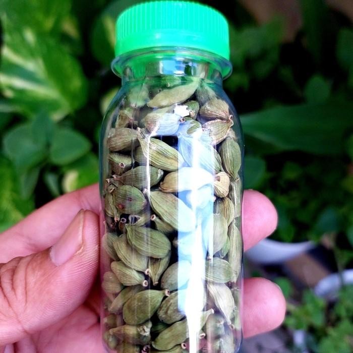 

TERMURAHH!! Kapulaga Arab 25 gram Kemasan Botol - Kapulaga Hijau - Kapulaga India