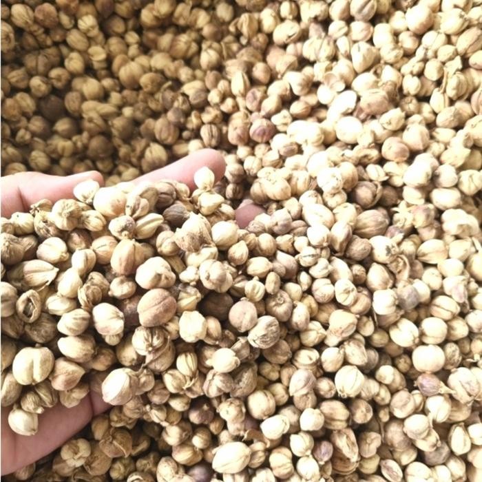 

TERMURAHH!! Kapulaga Jawa 100gr - Kapulaga Lokal - Cardamon