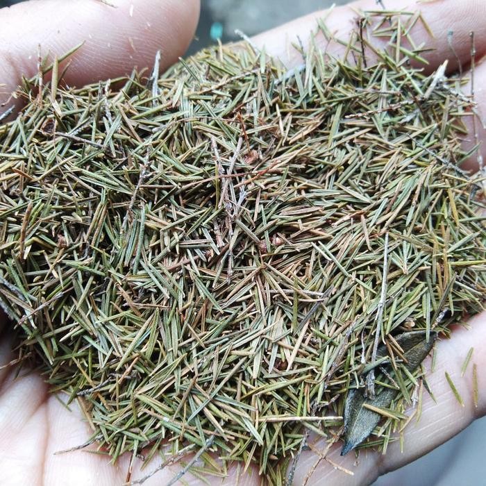 

TERMURAHH!! Herbal Jungrahab 1kg - Jung rahab Atau Ujung Atap