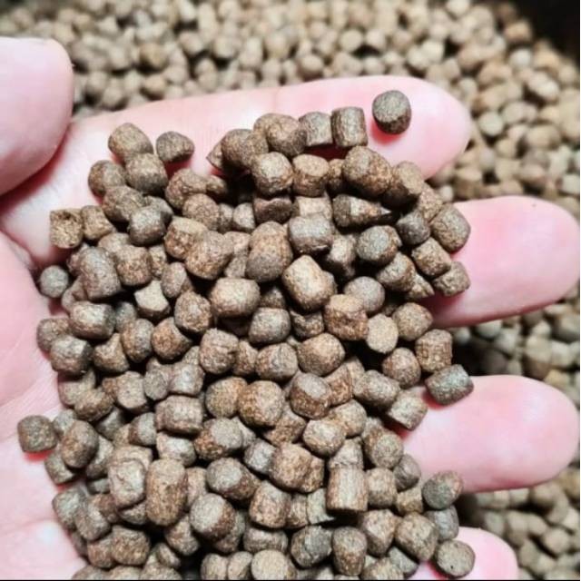 Pakan Ikan Koi Lokal Tak Gentar LTG 1Kg