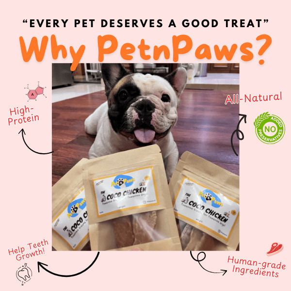 

Andrianbijaksana Petnpaws Chicken Gizzard Dog Snack (50Gr) Cemilan Anjing Ampela Ayam Dehydrated Dog