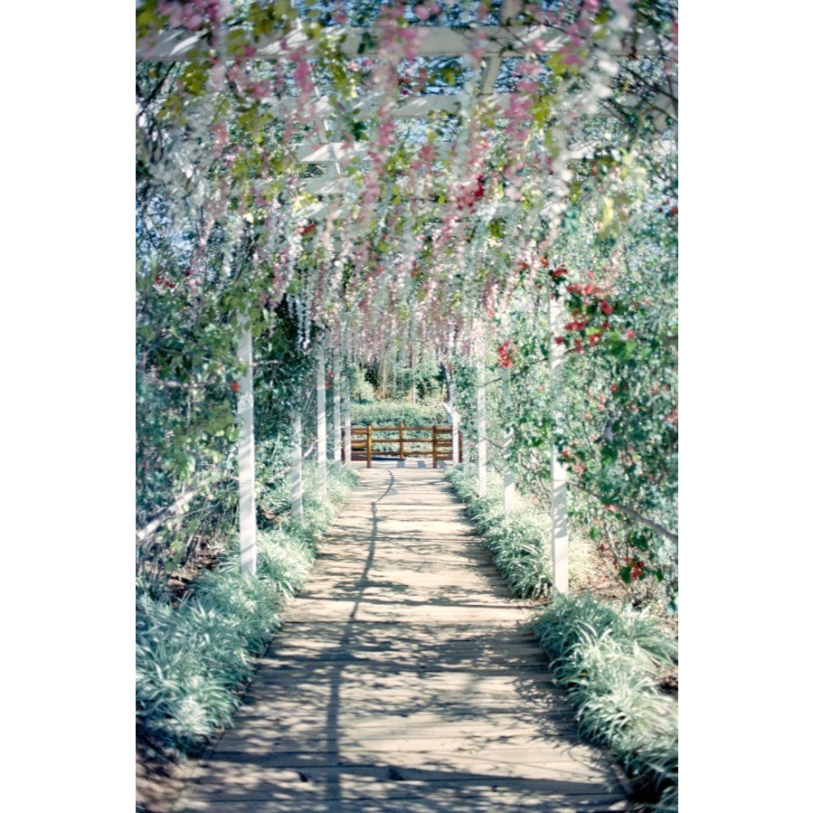 My Heart 5219 Roll Film 35mm ISO 500 36exp Color Film