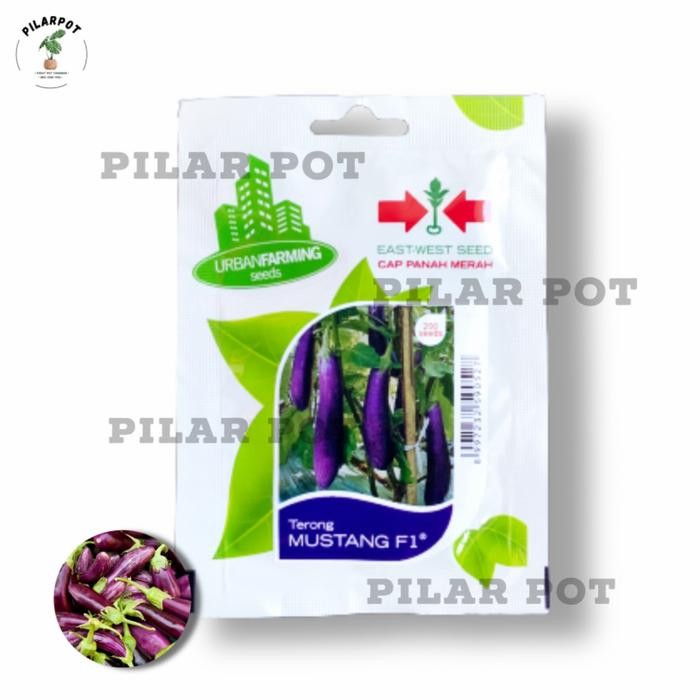 New benih bibit terong ungu Mustang f1 cap panah merah - TERONG MUSTANG F1