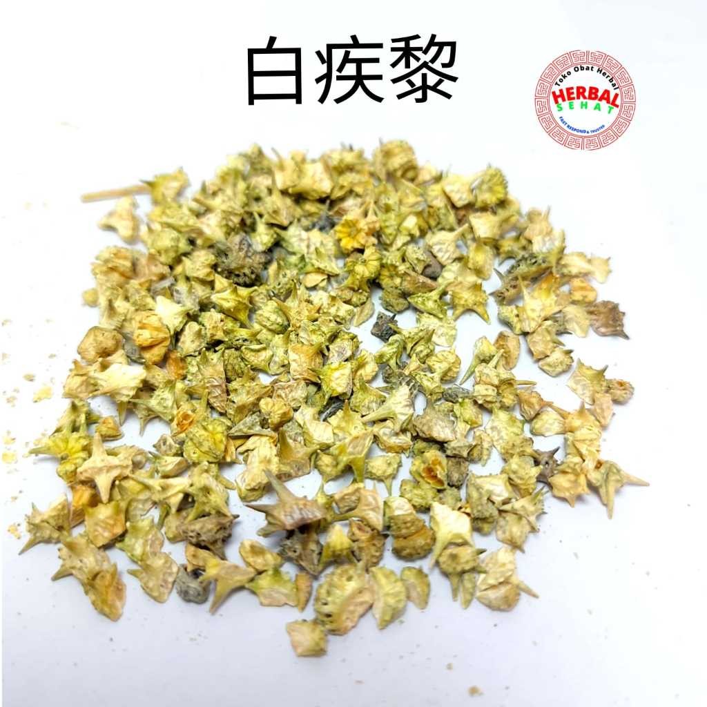 

Bai Ji Li Tribulus Fruit -Stamina Lelaki Testosterone 50-100g PREMIUM