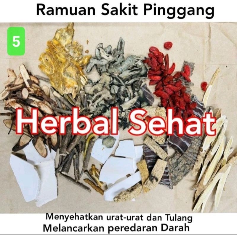 

Obat Sakit Pinggang - Menyehatkan Urat-Urat Saraf dan Tulang - Saraf Kejepit Manjur PREMIUM
