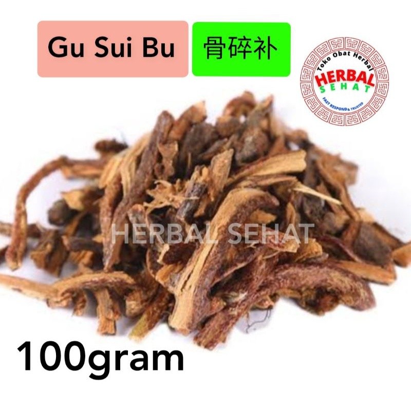 

Gu Sui Bu Radix Drynariae - 100 gram - Kut Shui Phu PREMIUM