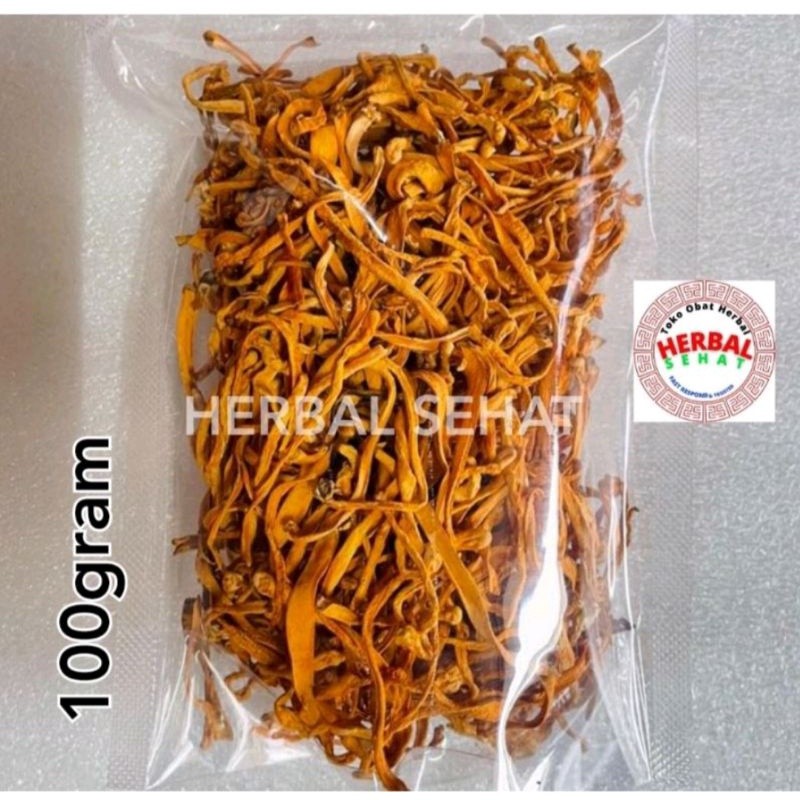 

Chong Cao Hua 100 Gram / Cordyceps Flower / Jamur Bunga Cordyceps / Cordyceps PREMIUM