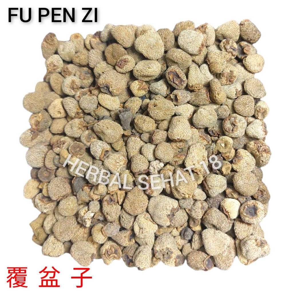 

Fu Pen Zi 300 Gram Fructus Rubi Chingii FUK PHUN CI PREMIUM