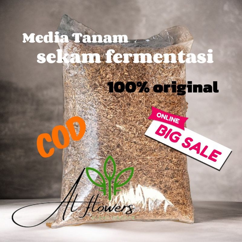 media tanam sekam fermentasi