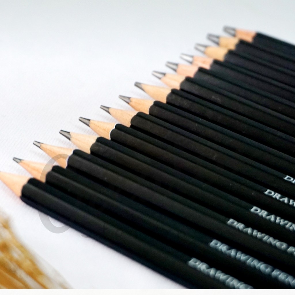 

Brutfuner Pensil Sketsa 14 Pcs Artist Sketch Drawing Pencil Professional