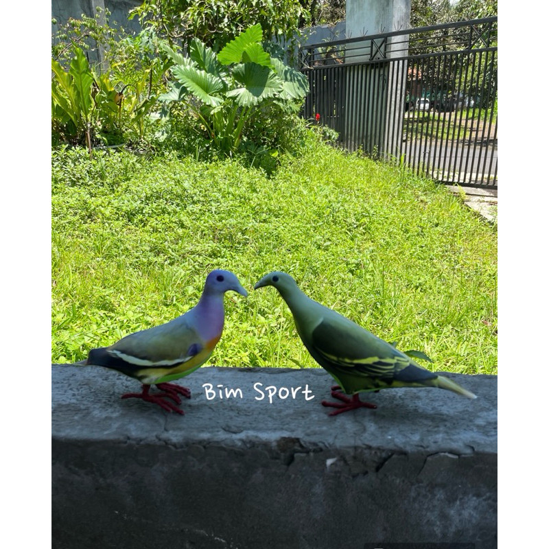 Patung Burung Punai Hijau Jantan dan Punai Gading Betina Sepasang