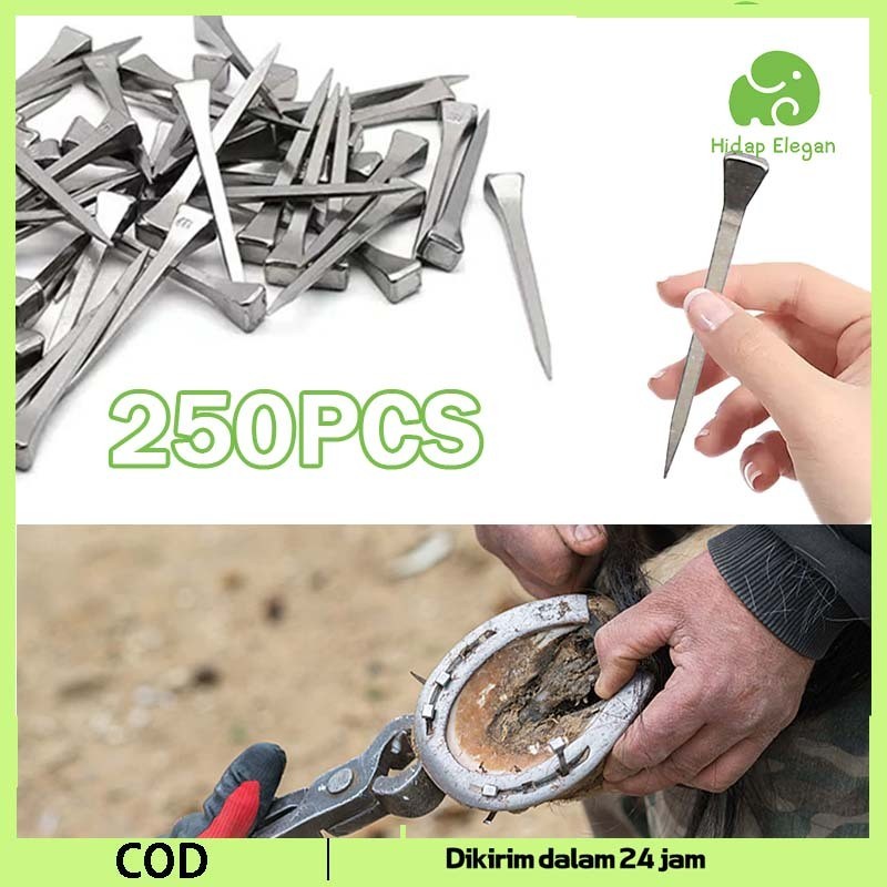 250 Pcs E3 Import Paku Sepatu Kuda Stainless Steel Paku Sepatu Kuda Paku Kuda Paku Tapal Kuda Pacu
