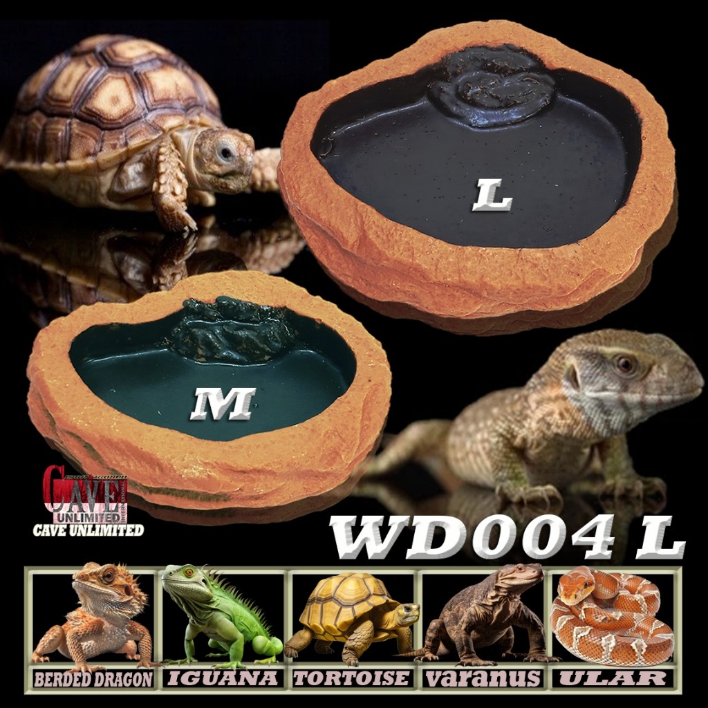 WD004 WATERDISH WATER FEEDING DISH TEMPAT MAKAN MINUM BEARDED DRAGON BD DUNNER POGONA MITCHELLI