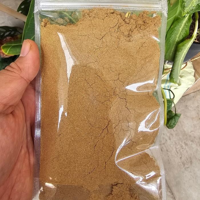 

TERMURAHH!! Bubuk Jintan Masak Ori Cumin 100gr / 250gr - Bumbu Bubuk Jintan Putih