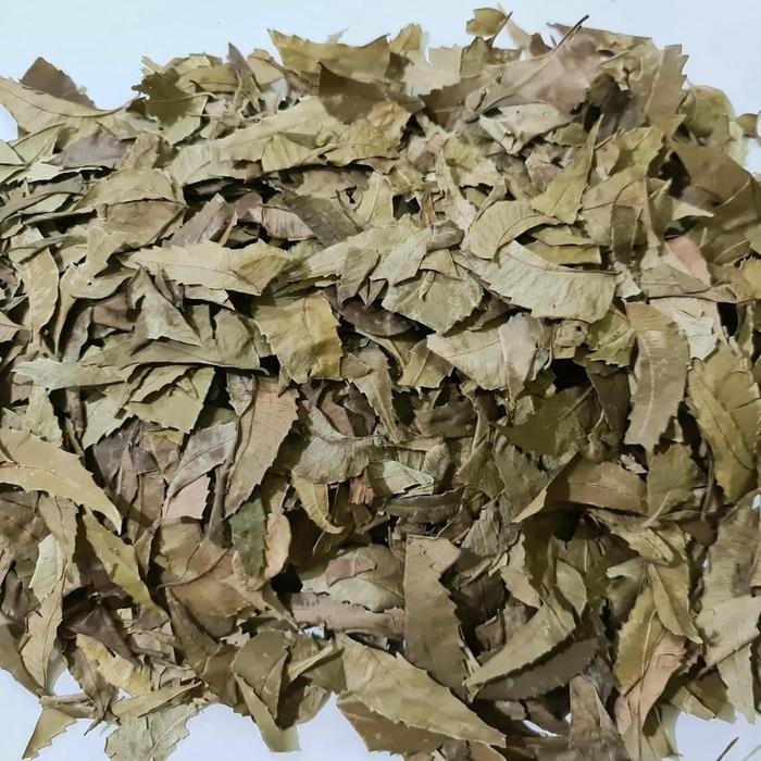 

TERMURAHH!! Daun Mimba Kering 1kg / Daun Imba / Daun Imbo