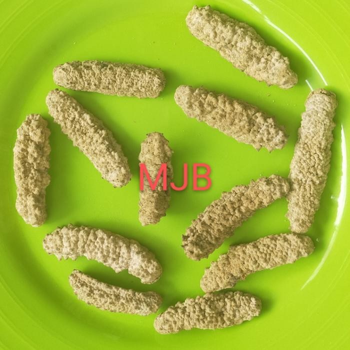 

SALE !!! TERIPANG KERING NATURAL/TKK/ GAMAT DURI NATURAL/100GRAM READYY