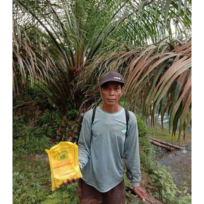 Flowersbloom Free Ongkir  *Harga Resmi ) Pupuk Organik Pertanian Agrodyke Untuk Sawit Kakao