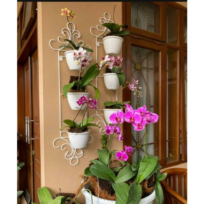 Happygardens Standing Pot Dinding Anggrek