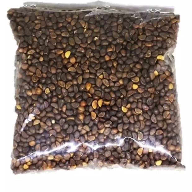 Ready Stock Bibit Benih Kangkung Sayur Hidroponik