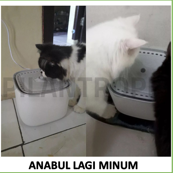 Water Fountain Kucing 3L Dispenser Minum Kucing Otomatis Pet Fountain Tempat Minum Kucing Otomatis