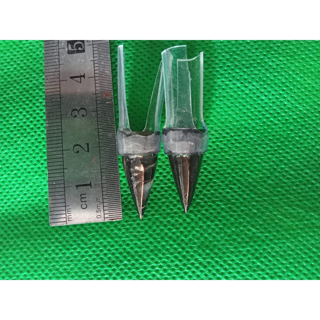 Jalu Sambung Ayam Aduan - Jalu Ayam Bangkok Berkualitas