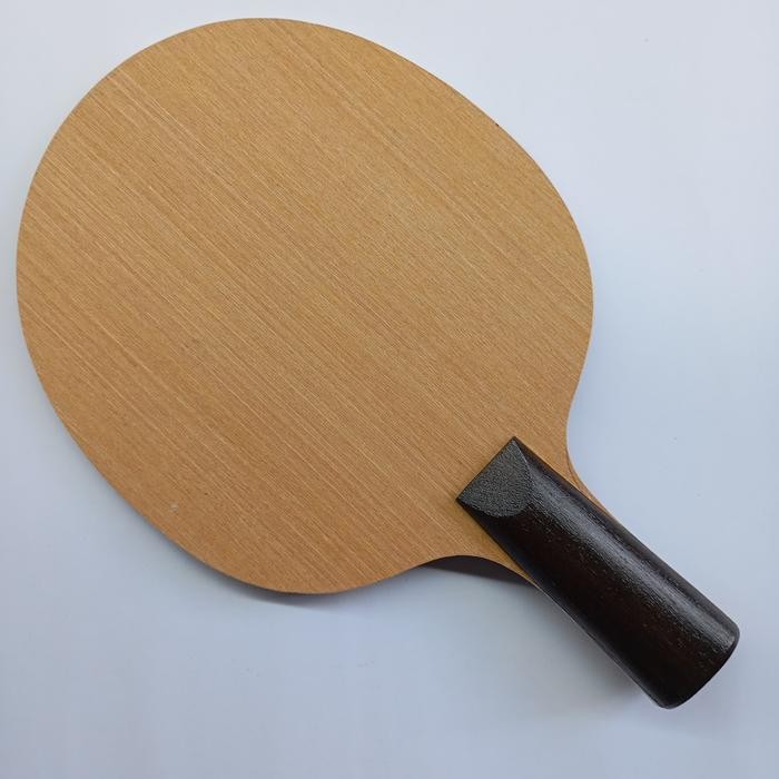 PREMIUM Bet Ping Pong Penhold Carbon