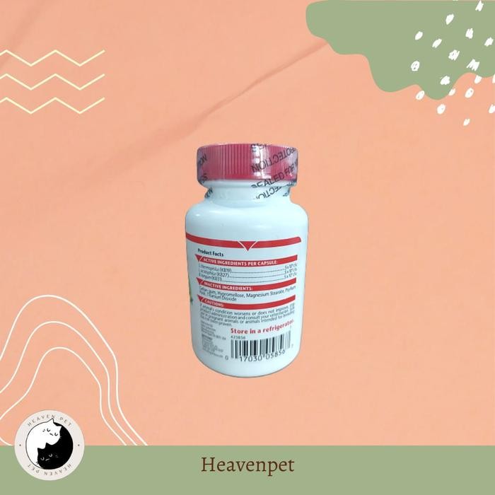 AZODYL - probiotik vitamin untuk ginjal anjing kucing