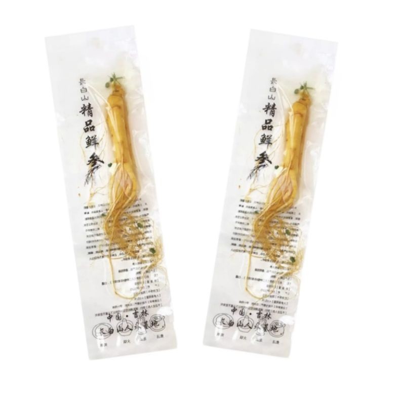

Ginseng Segar ukuran besar 100 gram / Fresh Ginseng root vacuum pack