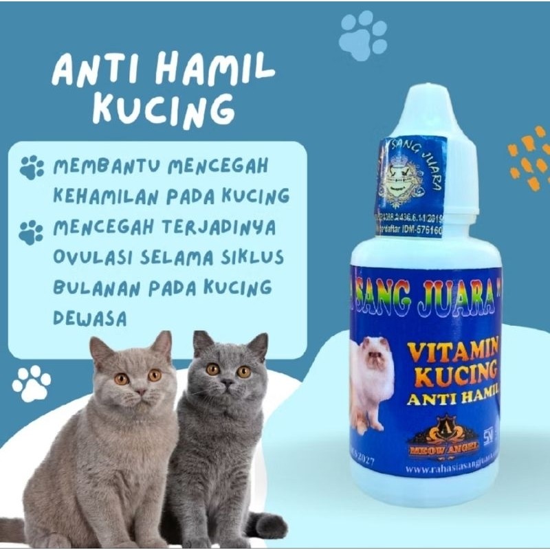 OBAT Anti Hamil KUCING Vitamin KUCING Anti Hamil RHS