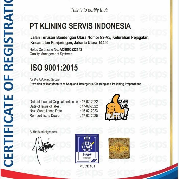 kehi Klin's Cement Remover