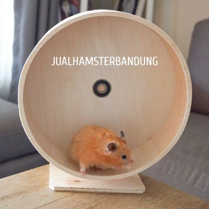 KINCIR KAYU HAMSTER / LANDAK MINI 25CM / JOGGING WHEEL HAMSTER 25CM / ROLLING WHEEL HAMSTER DIAMETER