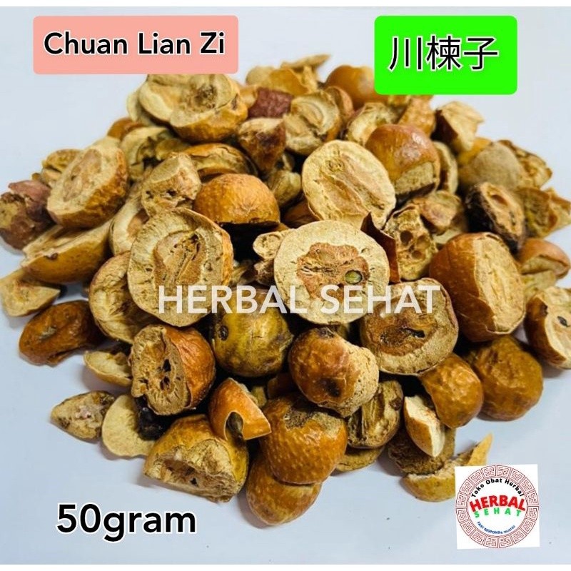 

[50gram] Chuan Lian Zi - [ ] - Fructus Meliae Toosendan [PREMIUM]