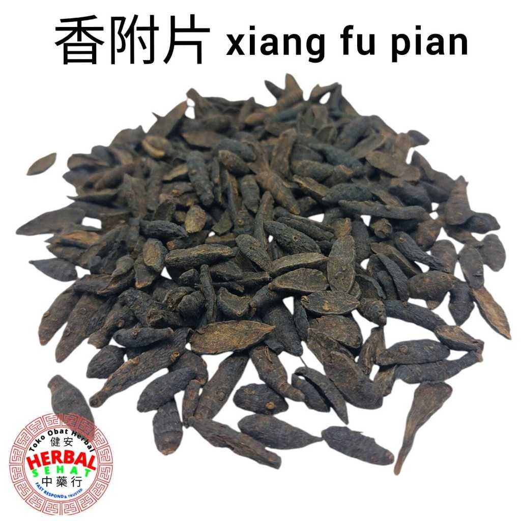 

Xiang Fu Pian 600 Gram Siang Fu Xiangfu / Rhizoma Cyperi Rotundi [PREMIUM]