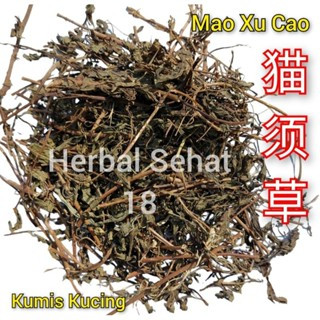 

1Kg Kilogram - Daun Kumis Kucing - Mao Xu Cao Asli / Obat Batu Ginjal dan Infeksi Saluran Kencing