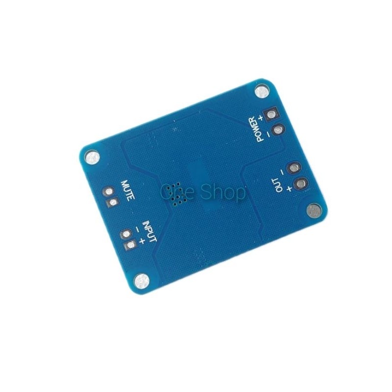 RB2233 AmplifierTPA3118Mono60W32PinOriginal