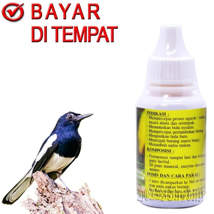 Yok Di Order Super Moulting Vitamin Mabung Ngurak Burung Kicau Obat Ganti Bulu