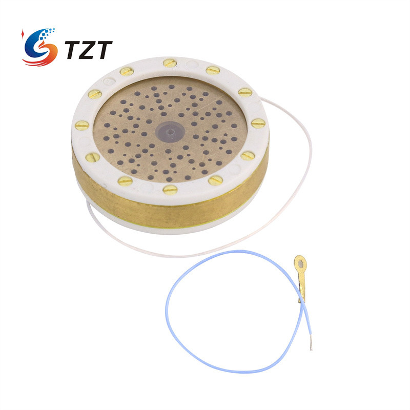 TZT RK-47 34MM Large Diaphragm Condenser Mic Capsule HiFi Audio