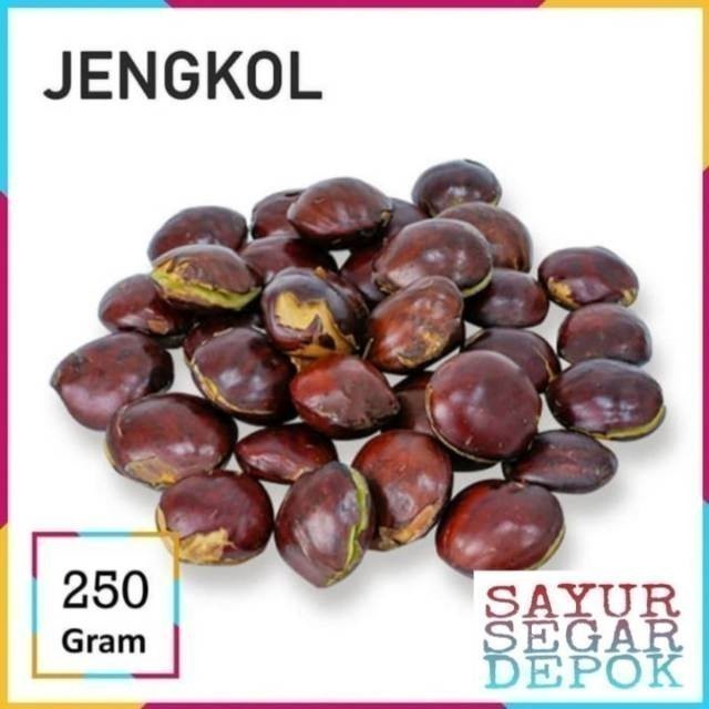 

JENGKOL TUA / SAYUR SEGAR JAKARTA