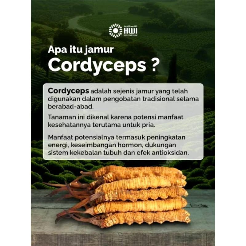 

PROMO MAX PRESSO HWI KOPI GINSENG KHUSUS PRIA DEWASA [ECER 1 SC]