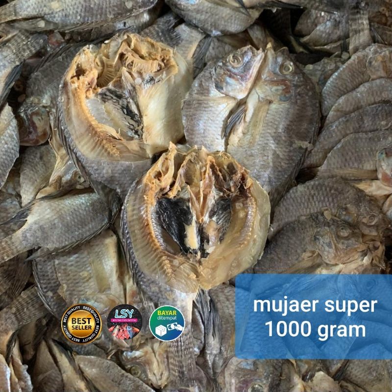 

Terlaris! ikan asin mujaer super 1 gram