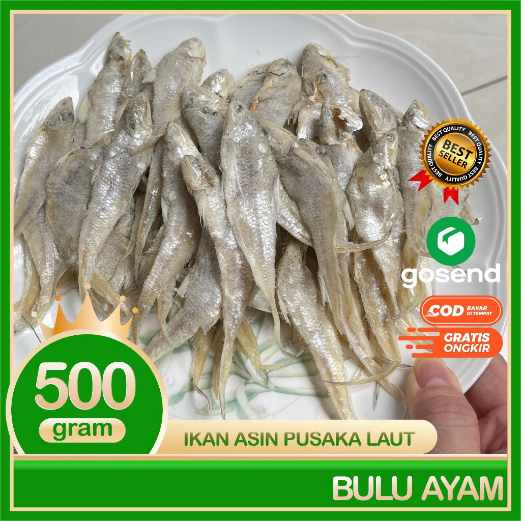 

Terlaris! Bulu Ayam Ikan Asin Super Kering Pum Gram