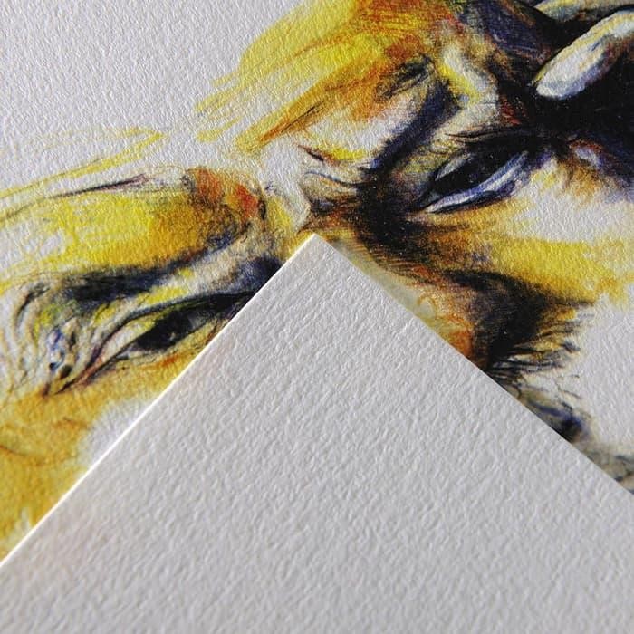 

Canson C A Grain A4 - 224 Gsm Extra Heavy Weight Drawing Paper