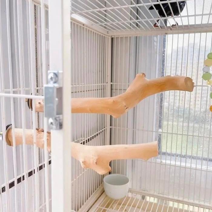 Tangkringan Kayu Kopi / Tangkringan Parrot / Kayu Kopi